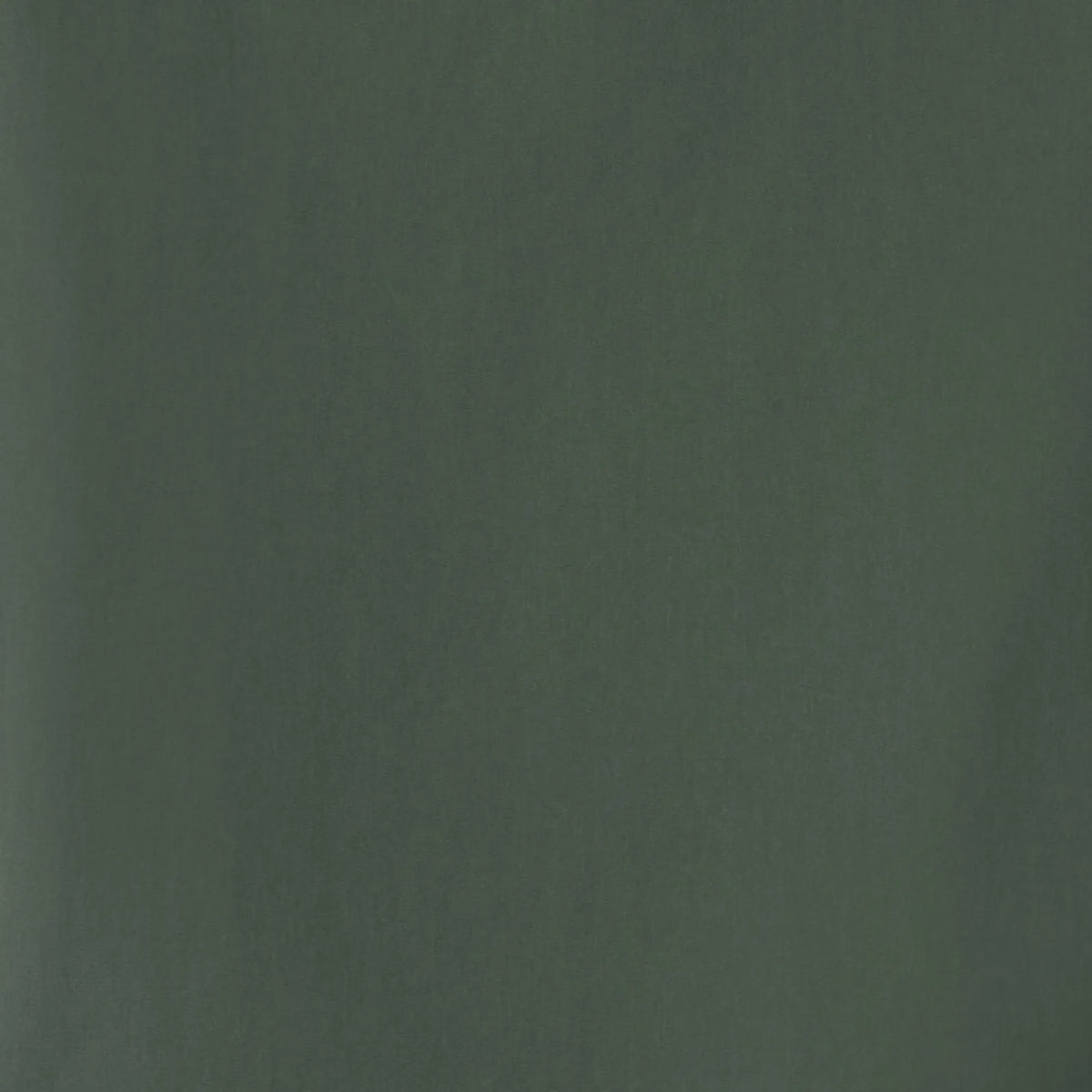 Thyme Green