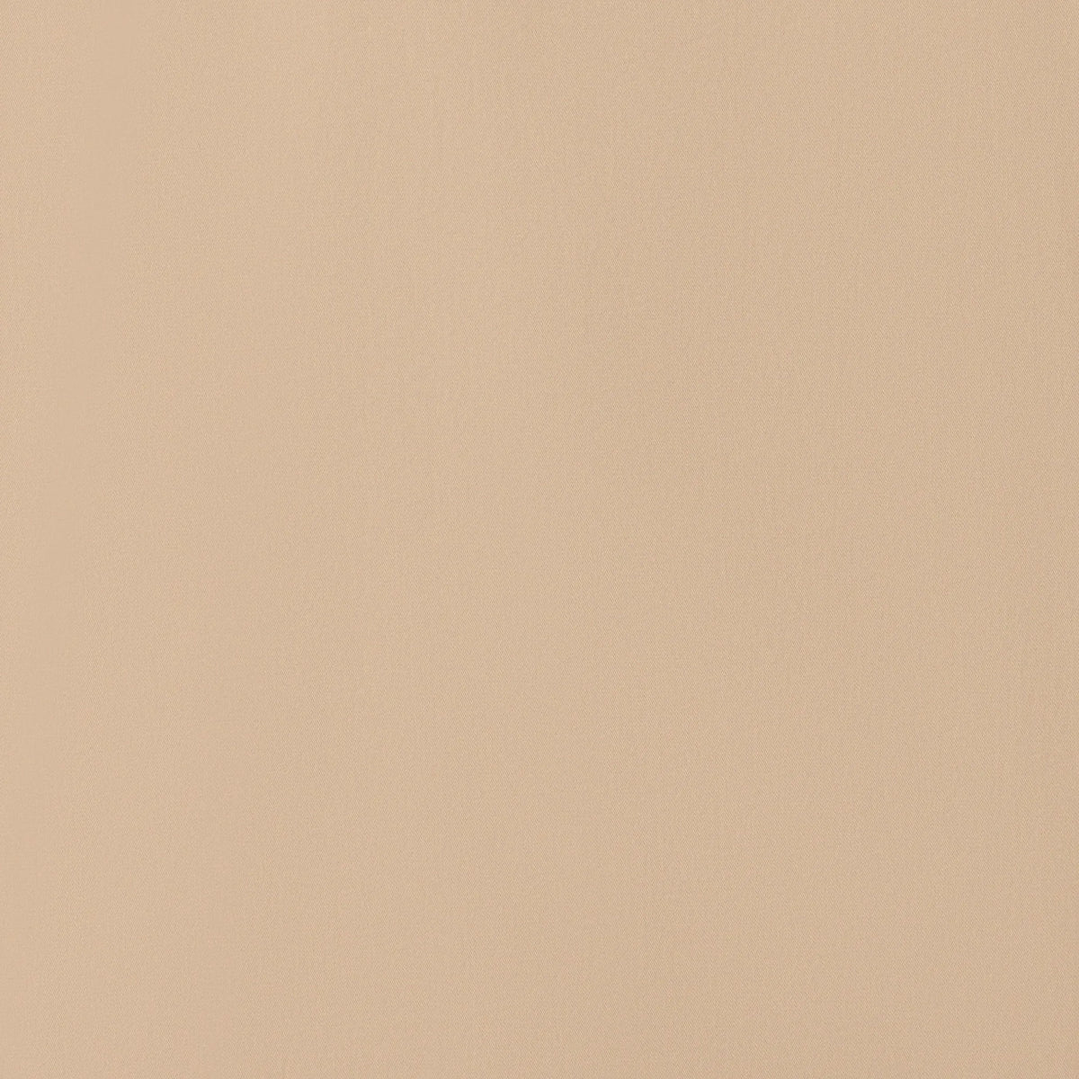 Stardust Beige