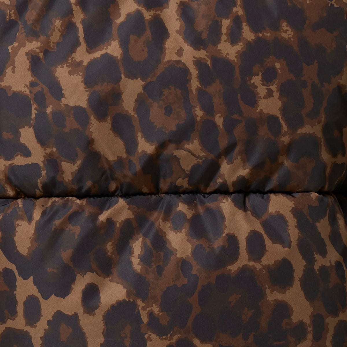 Dark Brown Leopard