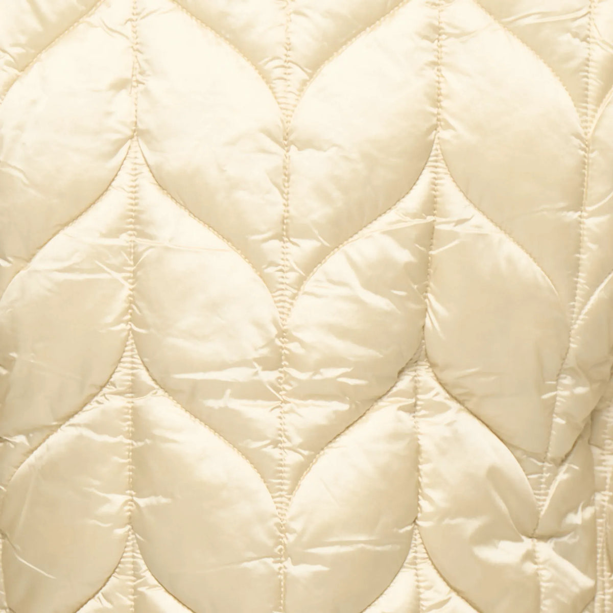 Shore Beige