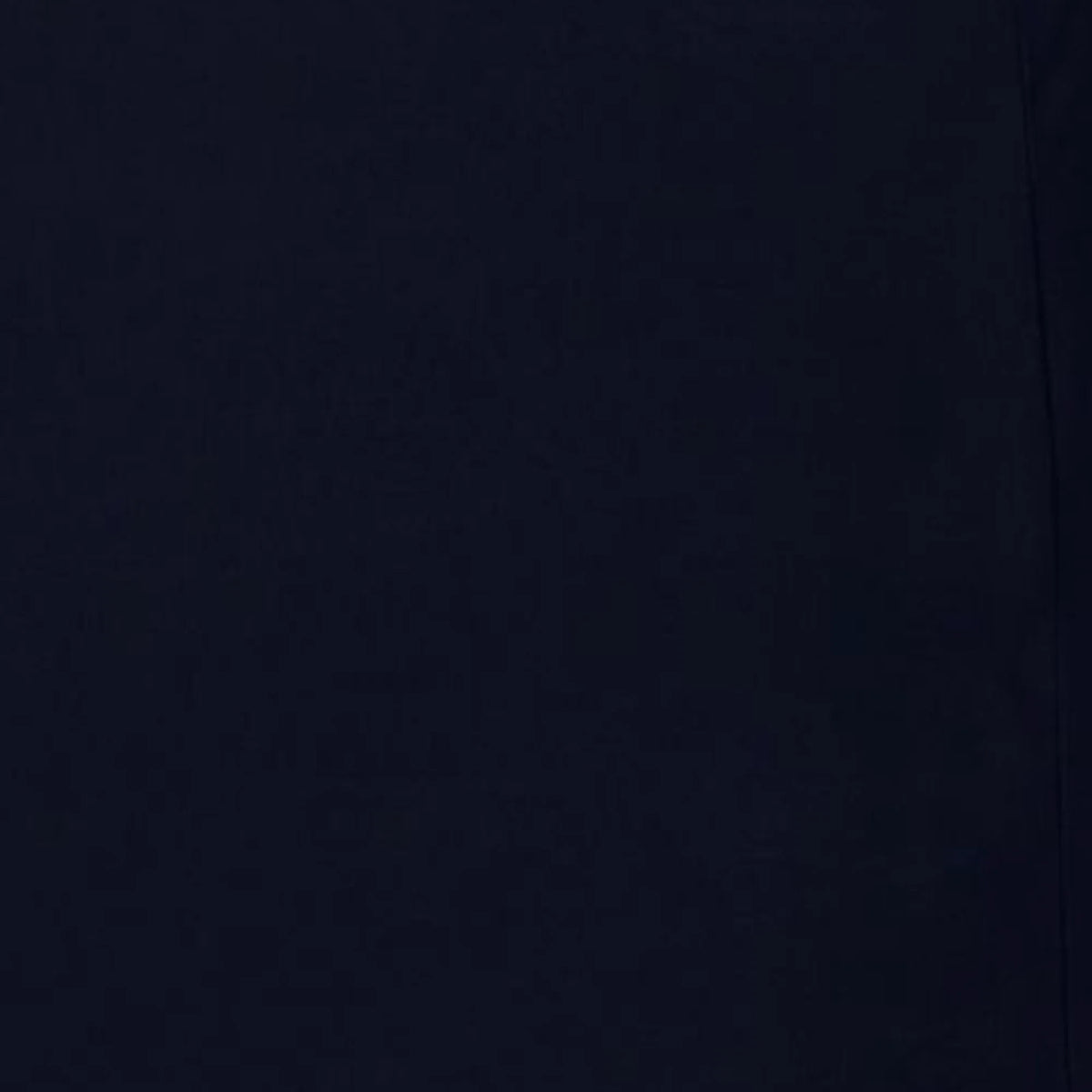 Navy Blue (90000)
