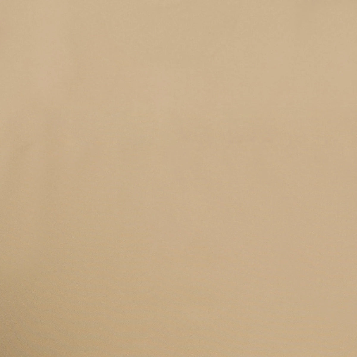 Stardust Beige