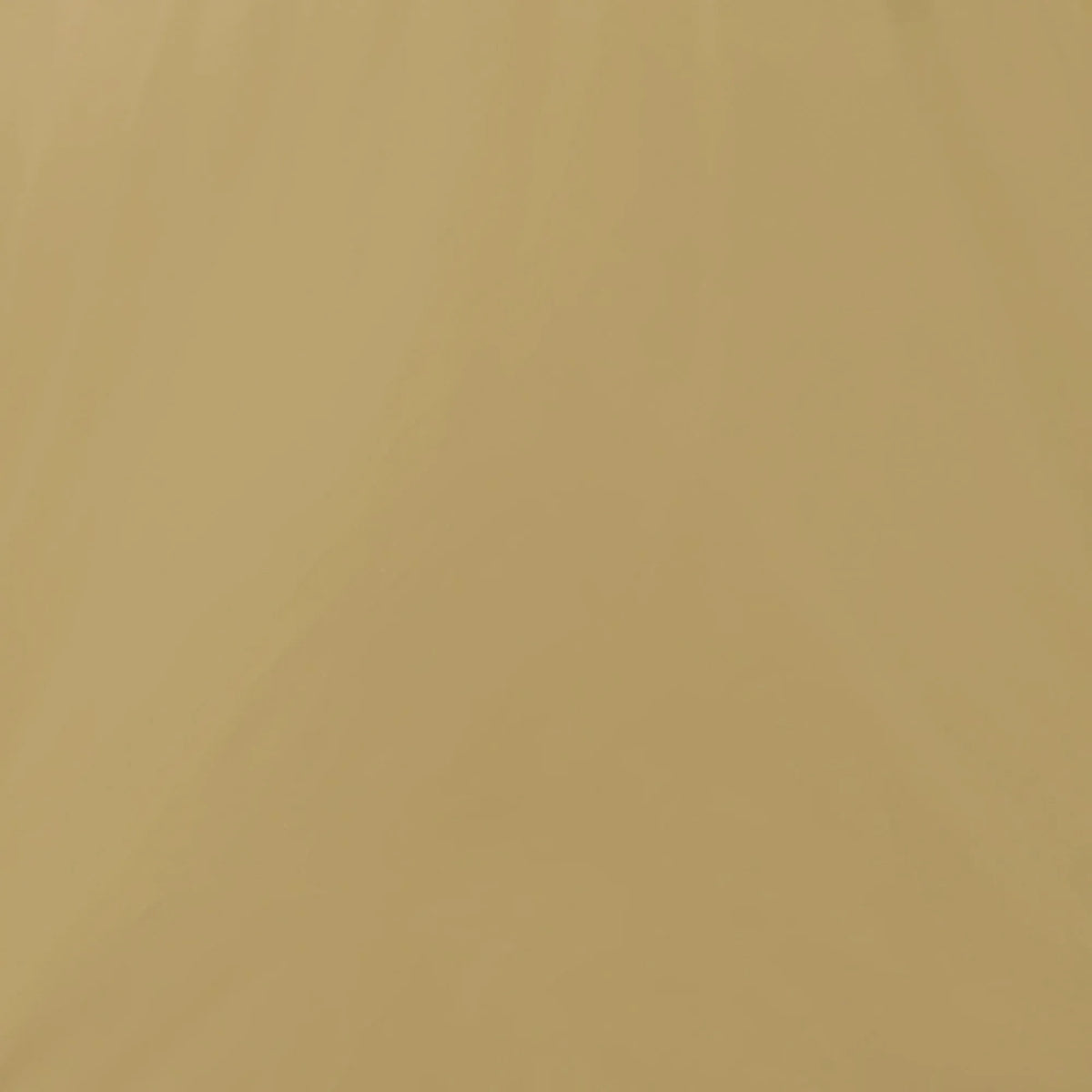 Stardust Beige