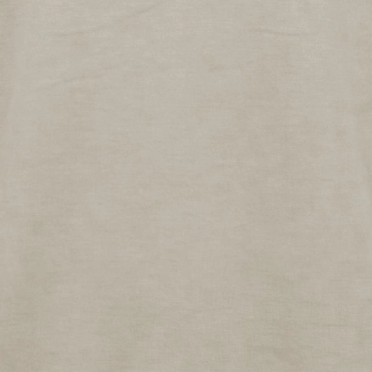 Rainy Beige
