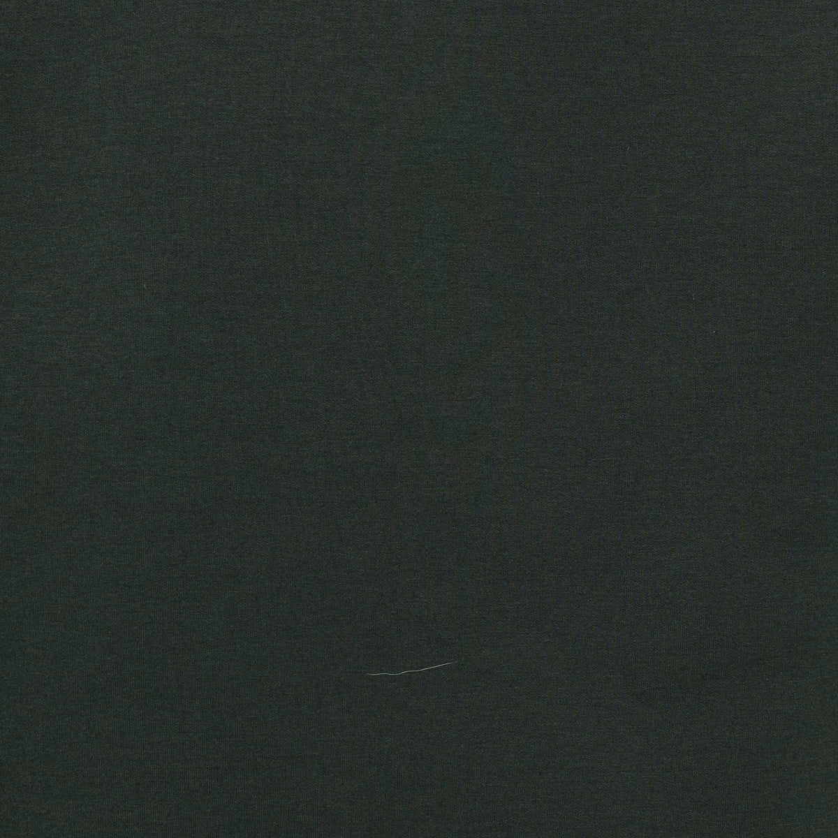 Nori Green