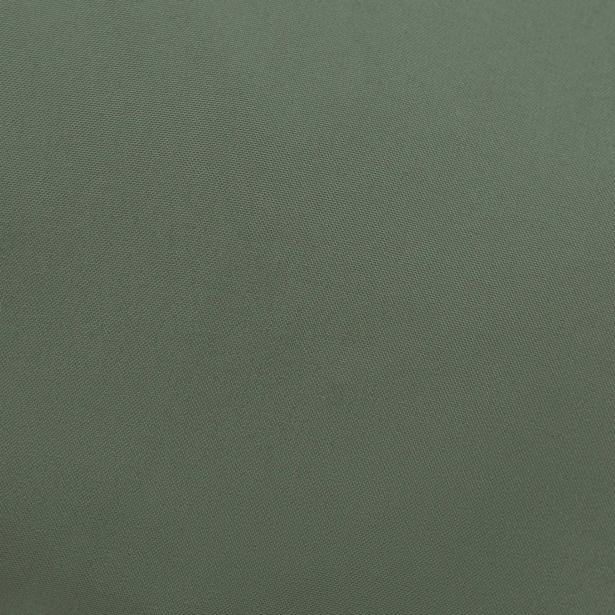 thyme green