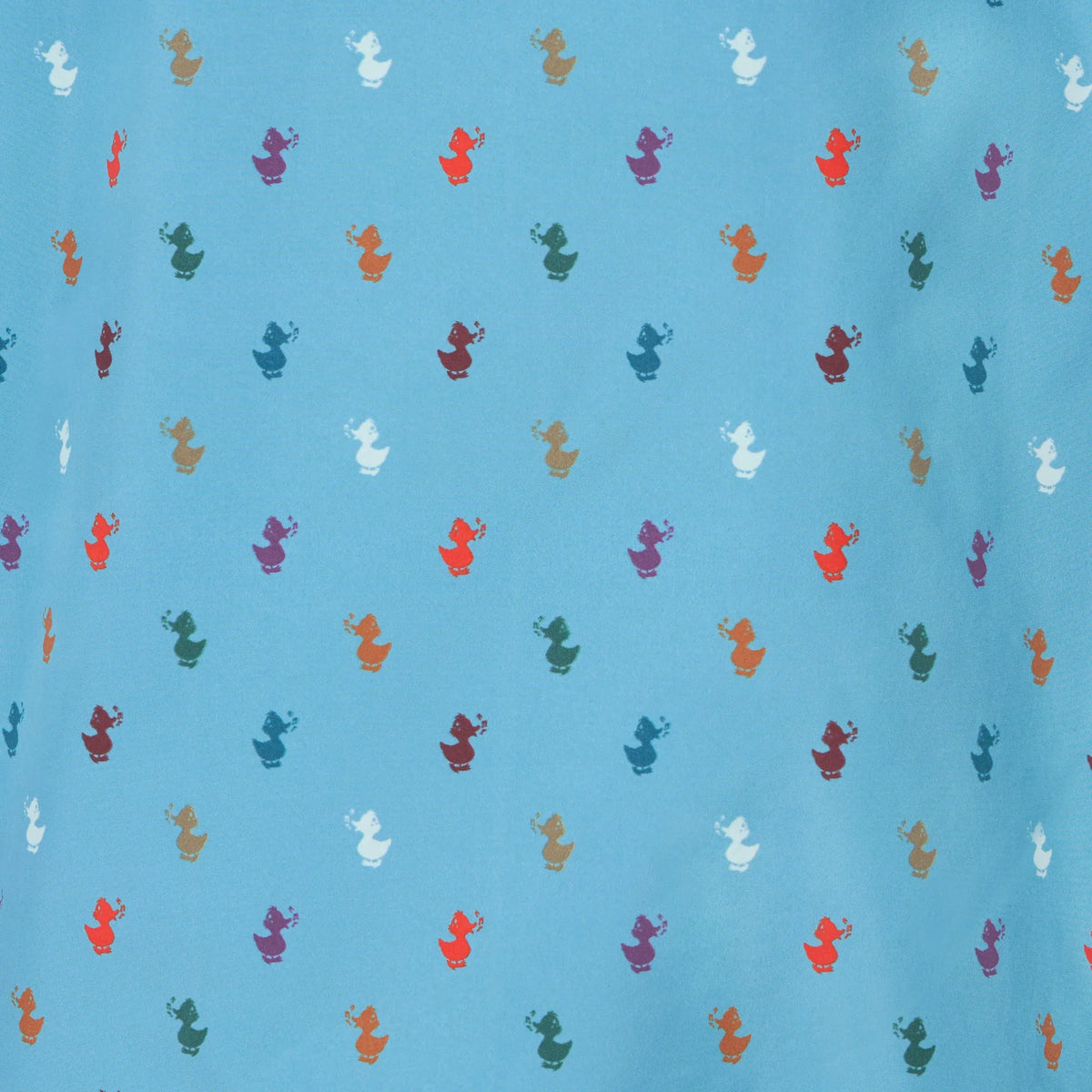 light blue with ducks print
