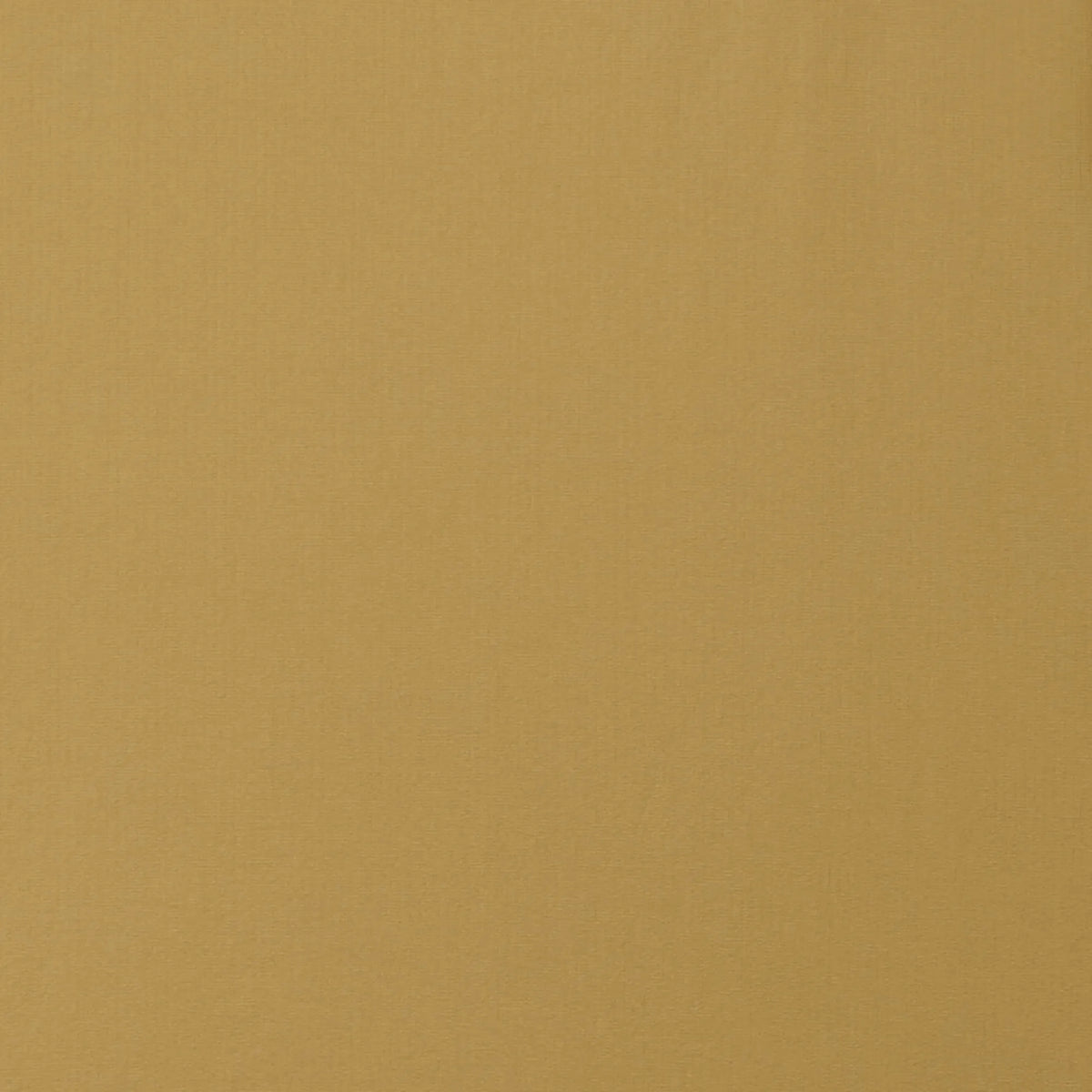 Cinnamon Brown