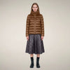 Noisette Brown