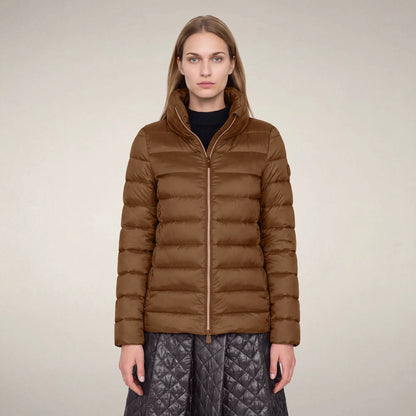Noisette Brown