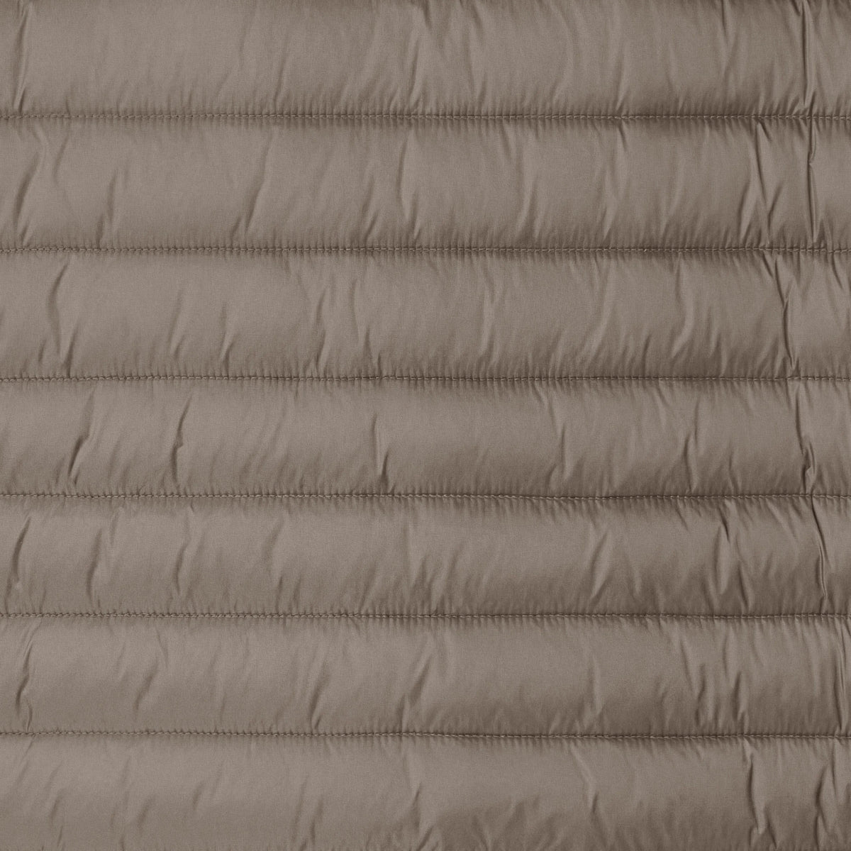 Elephant Grey
