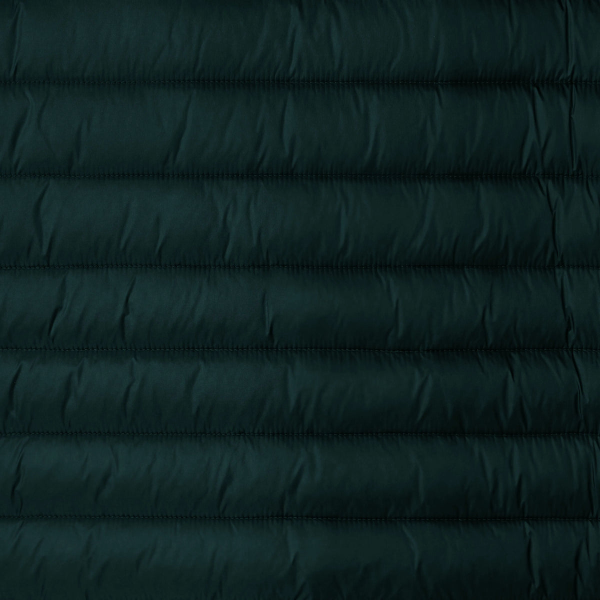 Salamander Green