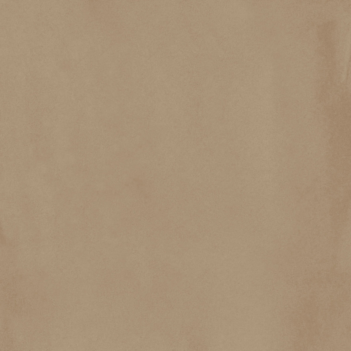 Stardust Beige