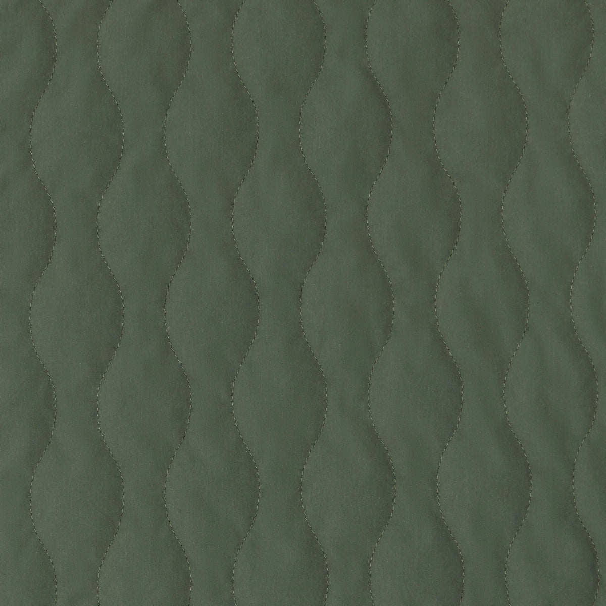 Thyme Green