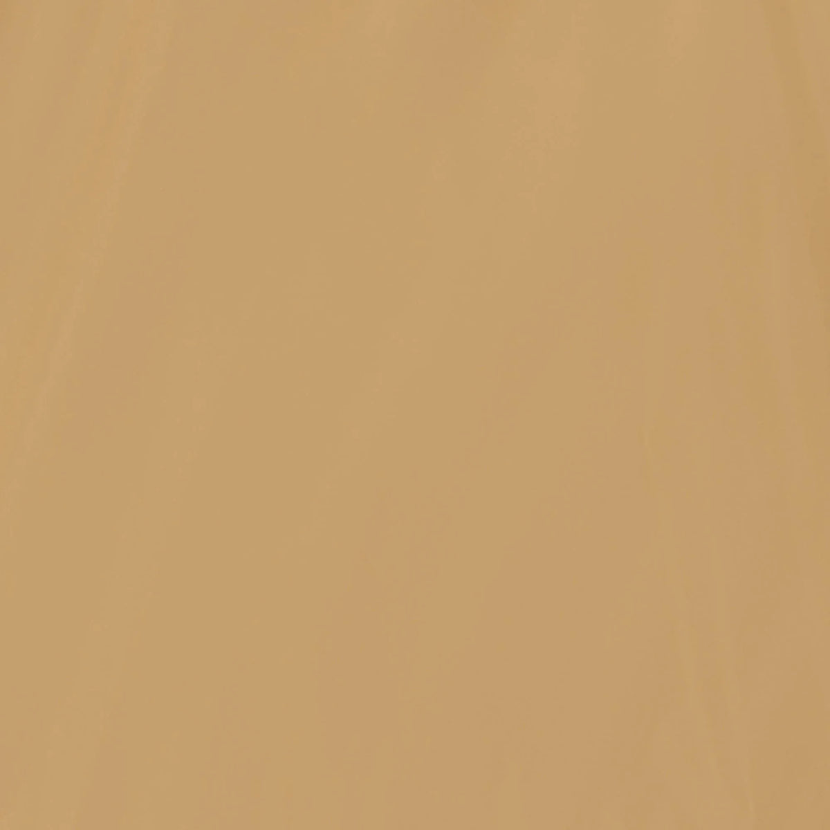 Stardust Beige with Floral embroidery