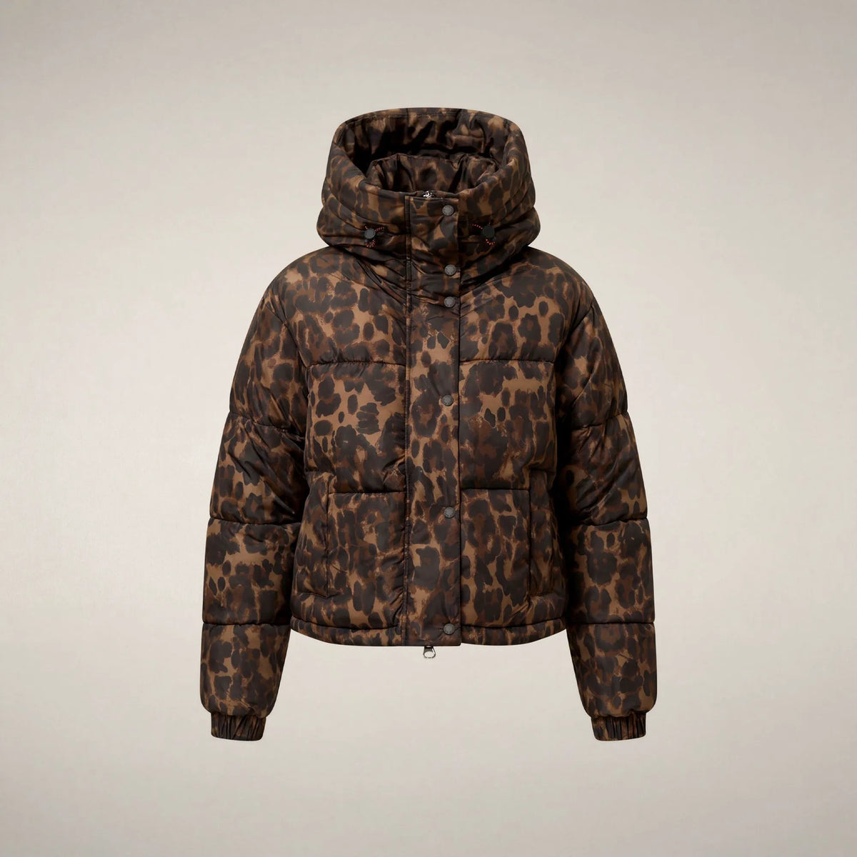 Dark Brown Leopard