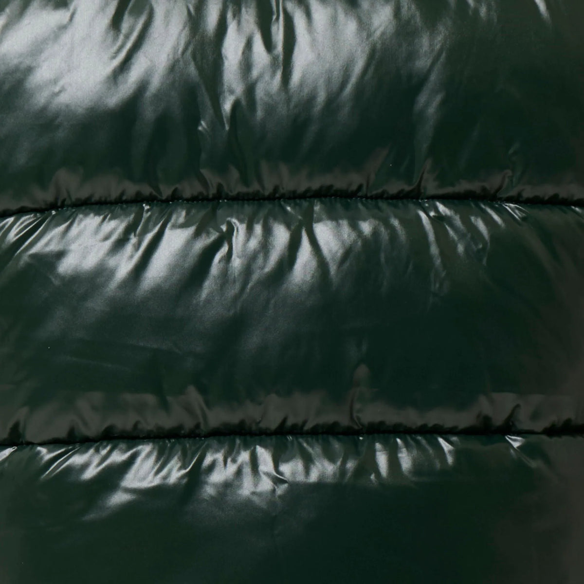 Nori Green