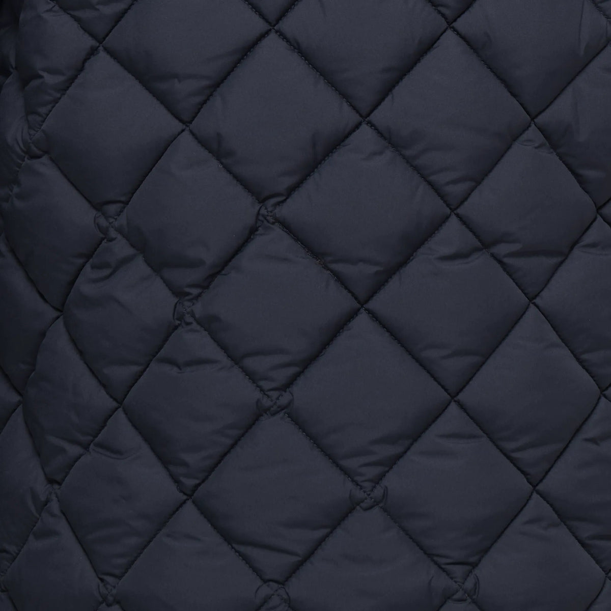 Blue Black