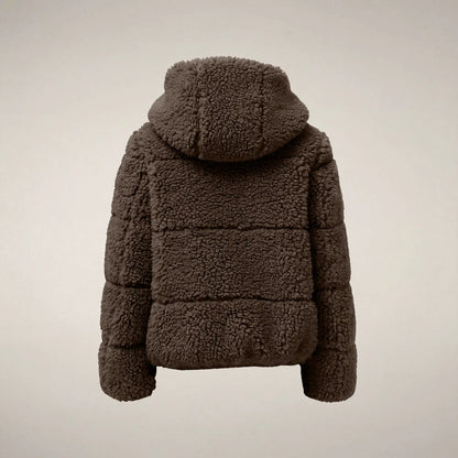 Soil Brown
