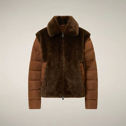 Soil Brown