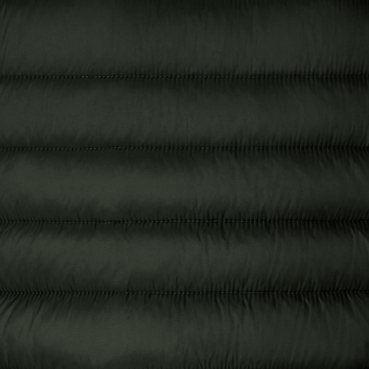 Snake Green