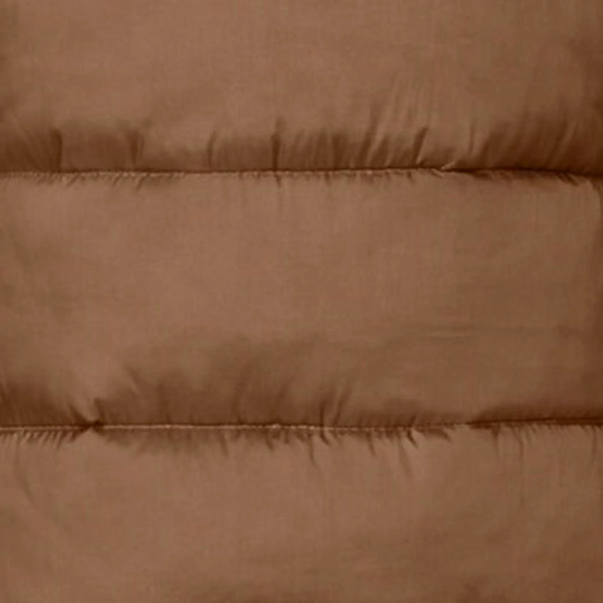 Noisette Brown
