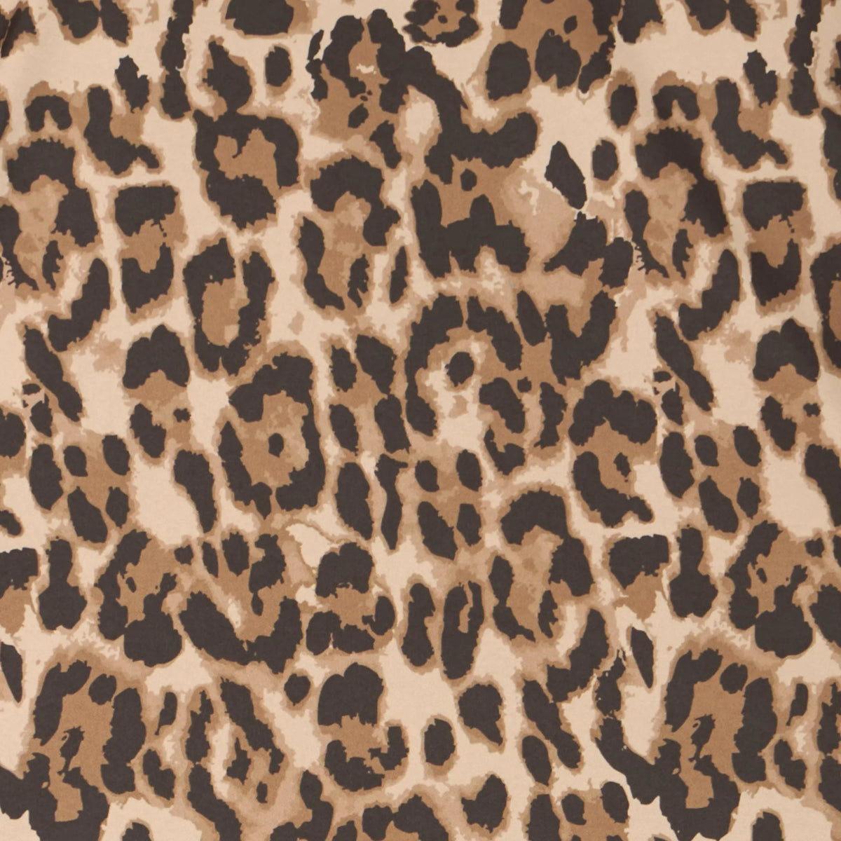 Macro leopardo marrone