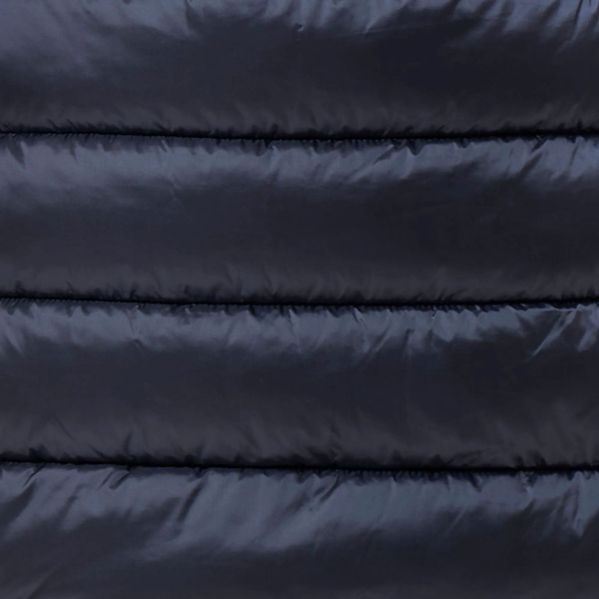 Night Blue