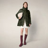 Pine Green