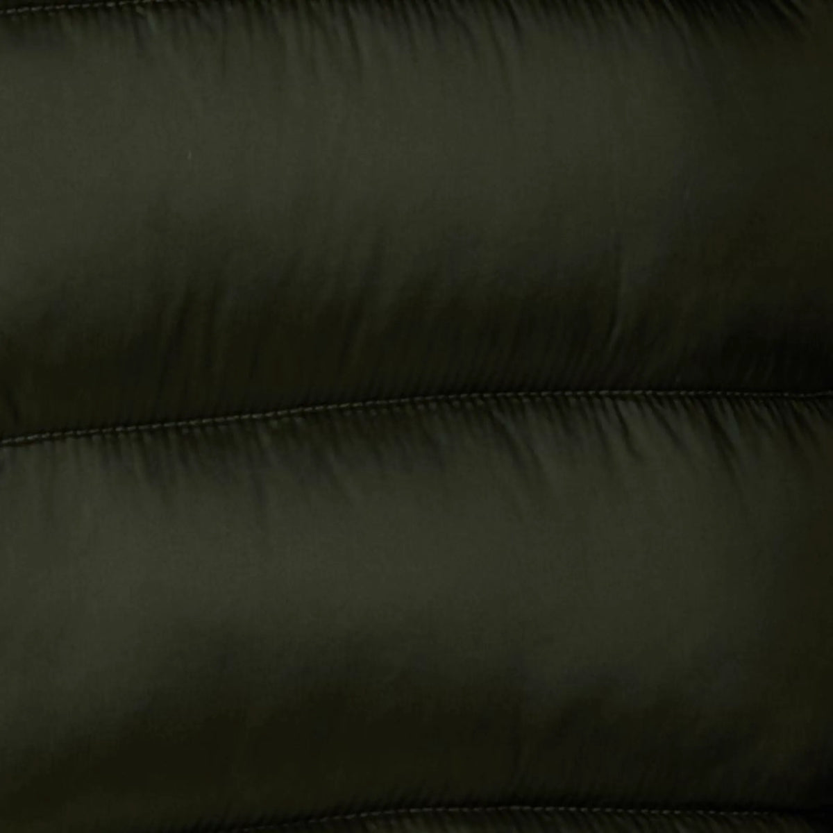 Pine Green