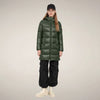 Pine Green