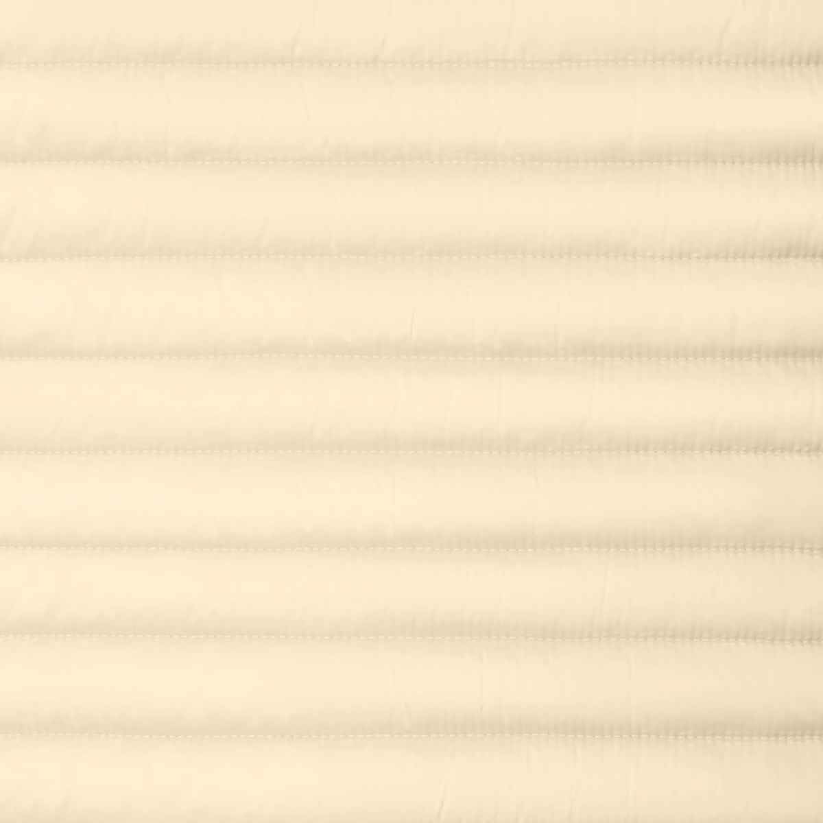 Shore Beige