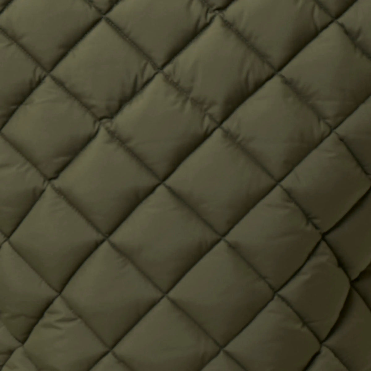 Snake Green