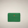 rainforest green
