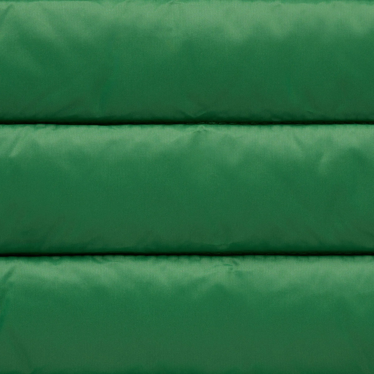 rainforest green