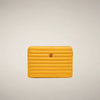 beak yellow