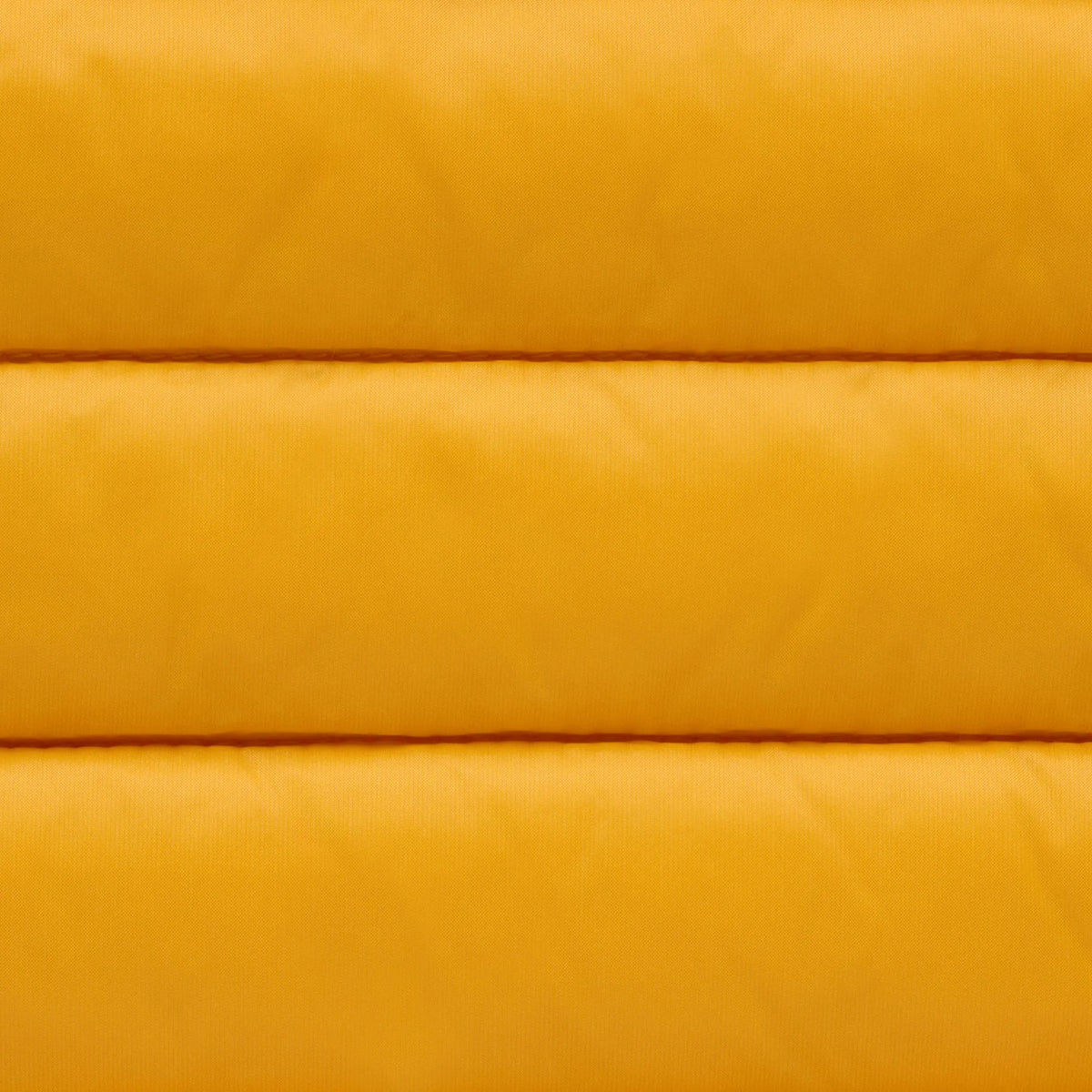 beak yellow