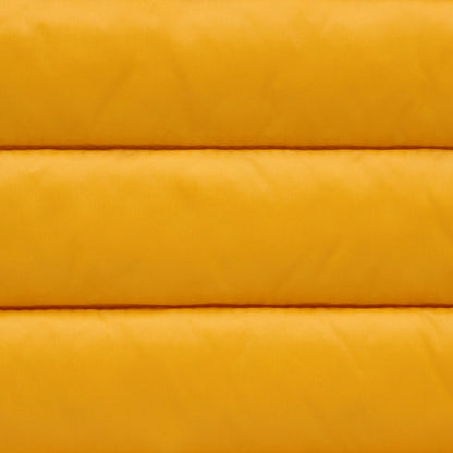 beak yellow