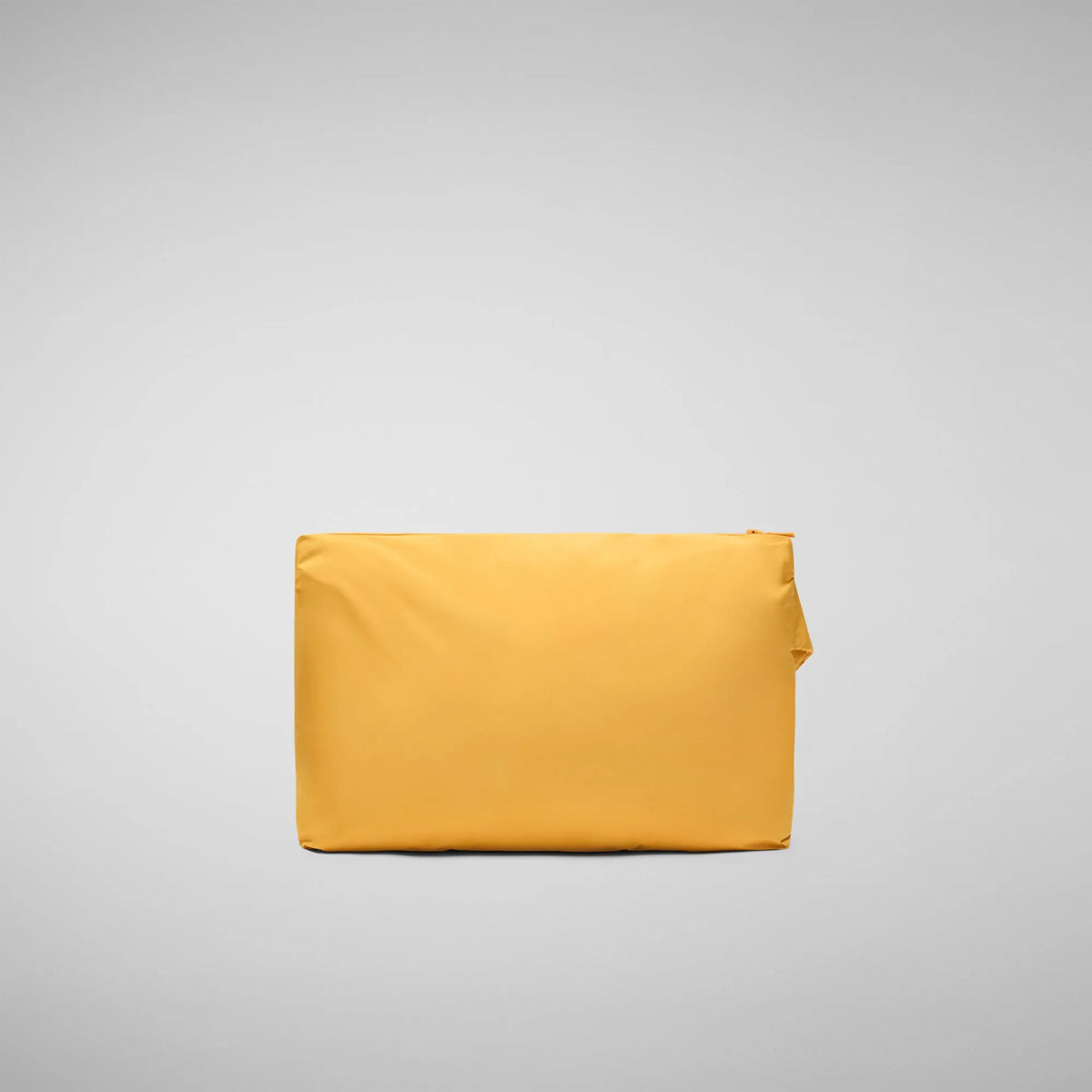 beak yellow