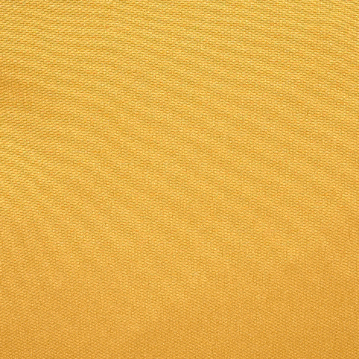 beak yellow