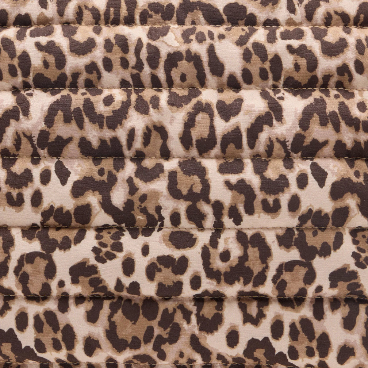Micro Brown Leopard