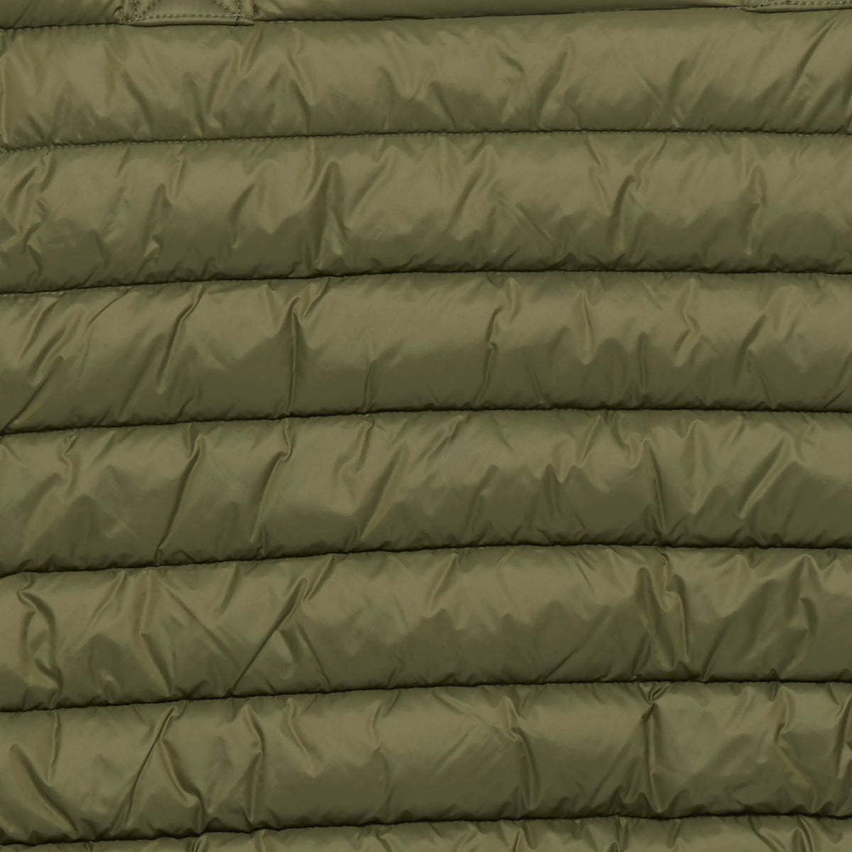 Dusty Olive