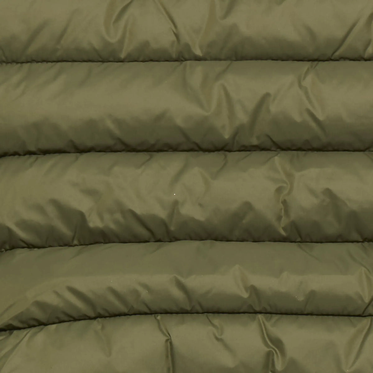 Dusty Olive