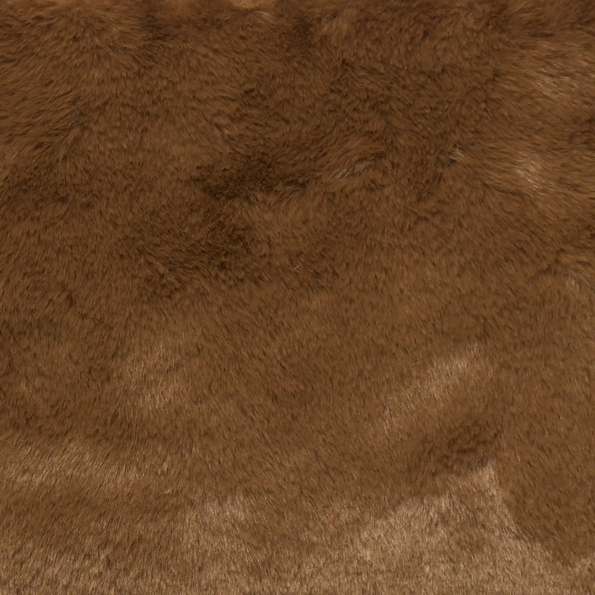 Noisette Brown