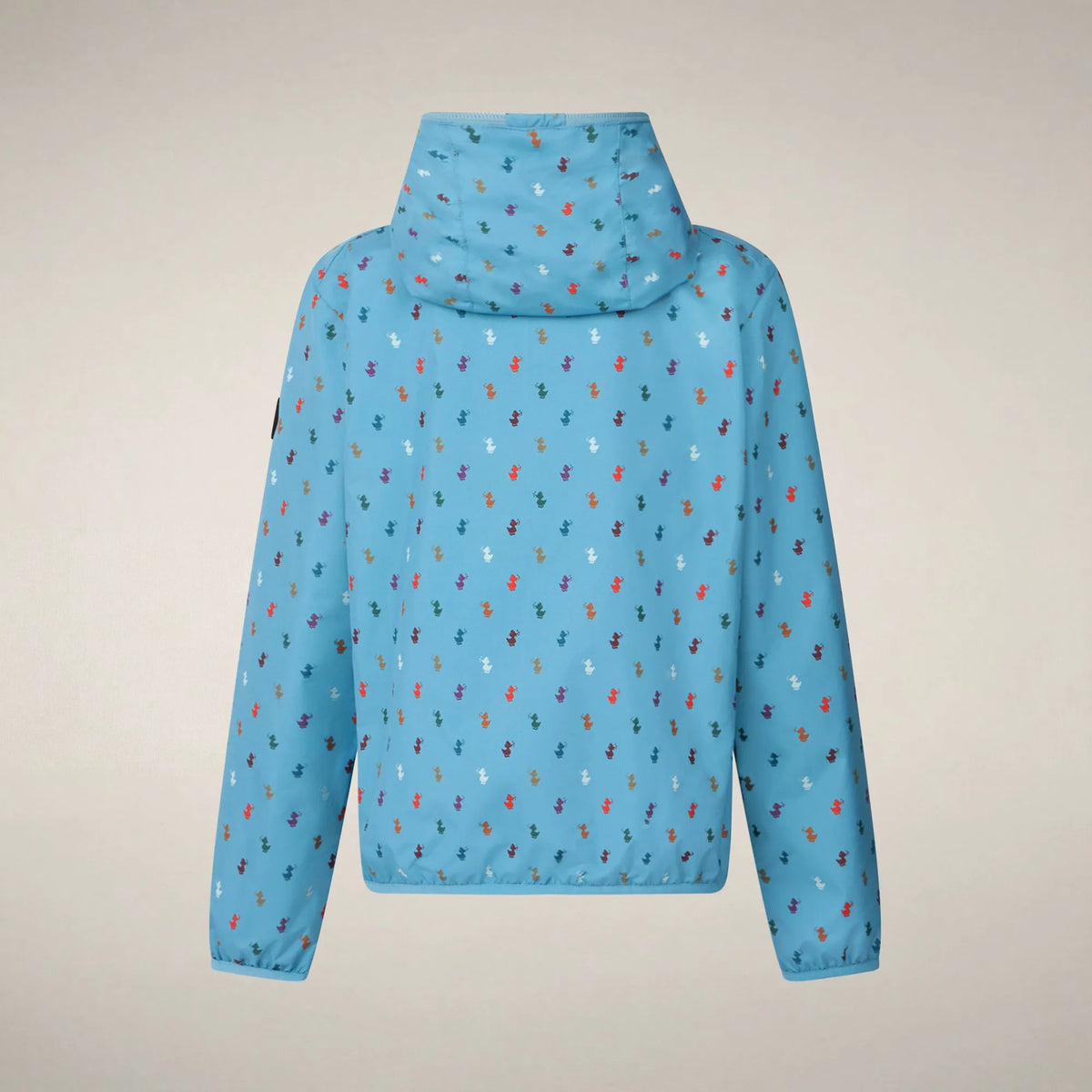 light blue with ducks print