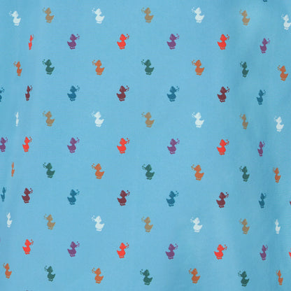 light blue with ducks print