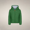 Rainforest Green