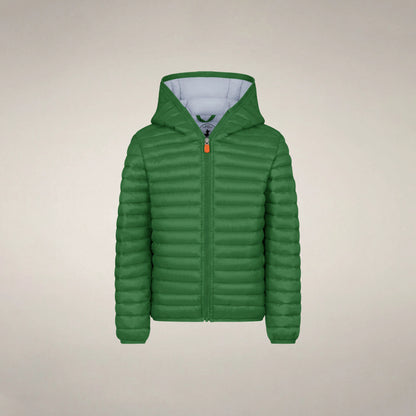 Rainforest Green
