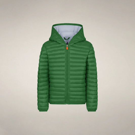 Rainforest Green