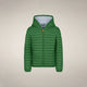 Rainforest Green